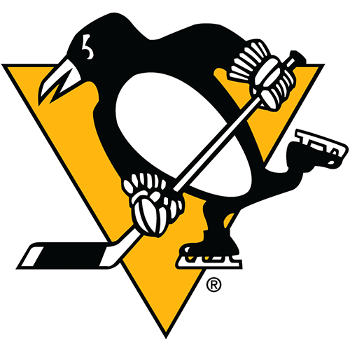 Pittsburgh Penguins iron ons